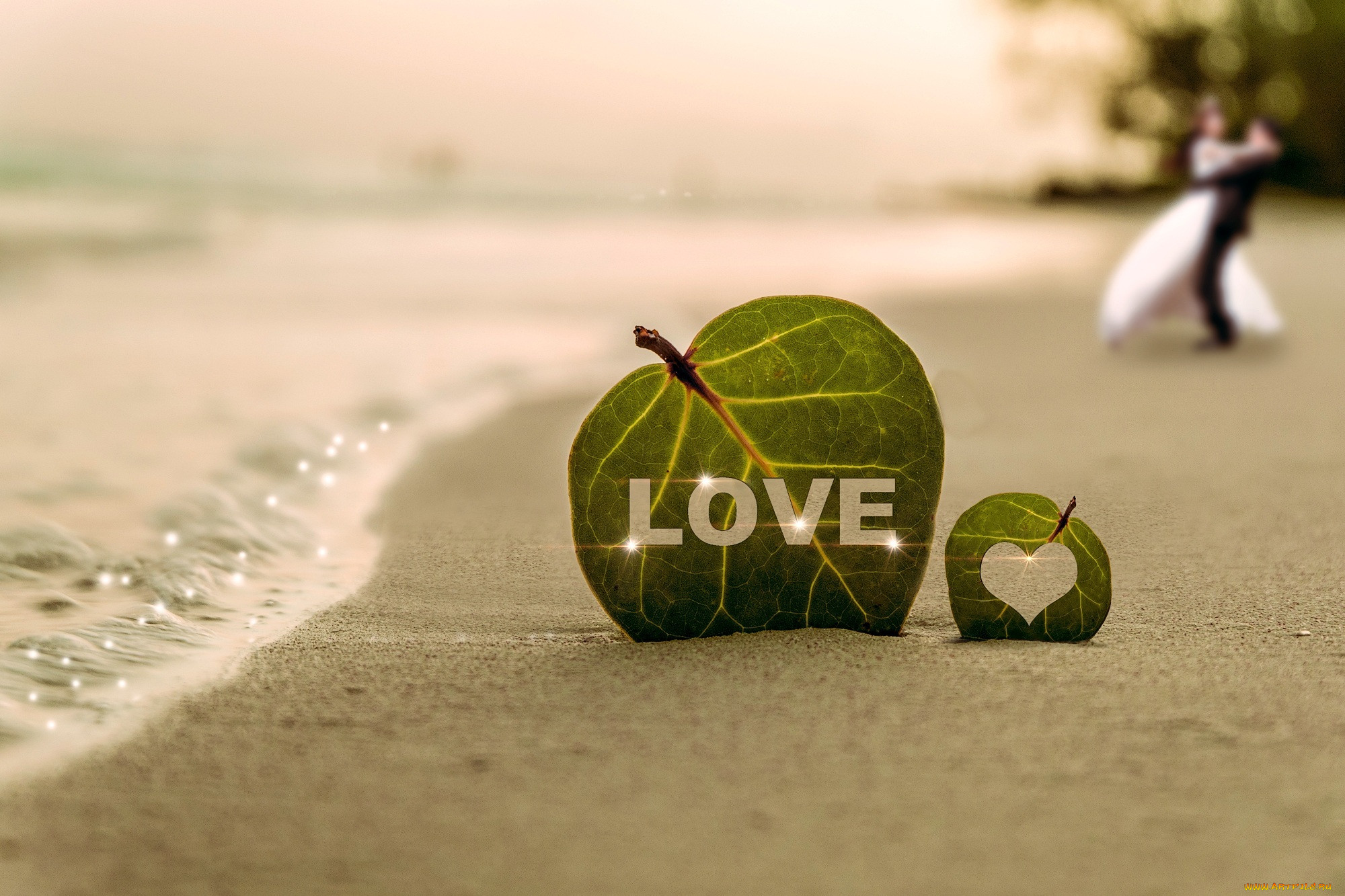 ,   ,  ,  , , , , , , , love, 